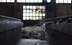 Бракованный товар на маркетплейсе: что делать продавцу