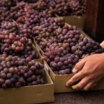 Дропшиппинг в России: где искать поставщиков и как их проверить